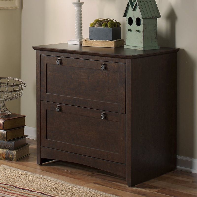 Darby Home Co Fralick 2Drawer Lateral Filing & Reviews Wayfair